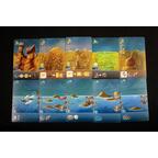 Voyageurs du Tigre du Sud Cartes