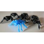 Comme des Mouches Mouches