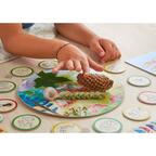 Planète des Sens: Voir, Entendre, Goûter, Sentir, Toucher Zoom