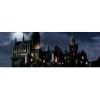 Harry Potter: Hogwarts Battle Top