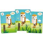 CuBirds Cartes