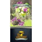 The 7th Continent: Les Racines Volantes Cover