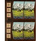 PARKS: Wildlife Tuiles