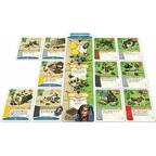 Settlers: Naissance d'un Empire Cartes