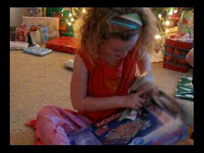 Monopoly: Littlest Petshop Youtube