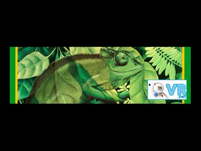 Coloretto Vidéo Règle