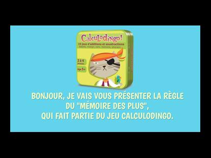 Calculodingo Youtube Règle