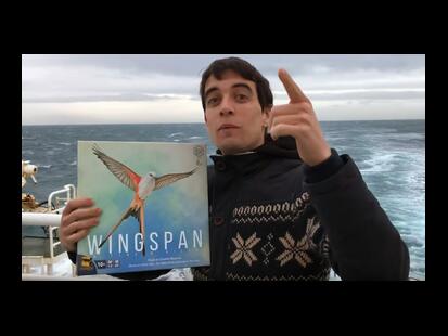 Wingspan Youtube Avis