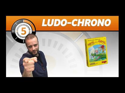 Pyramide d'Animaux: Jeu de Cartes Ludochrono