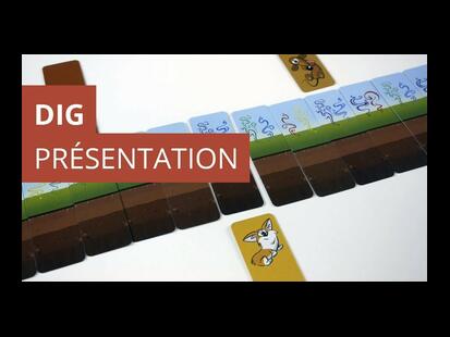 DIG Présentation