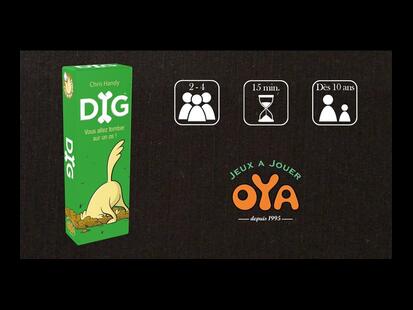 DIG Comment Jouer
