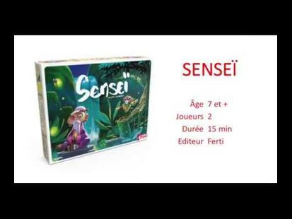 Senseï Youtube Avis