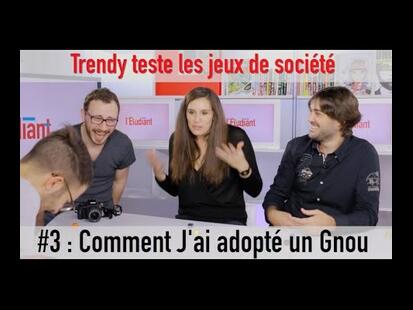 Comment J'ai Adopté un Gnou Trendy Test le Jeu