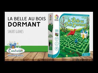 La Belle au Bois Dormant Castello