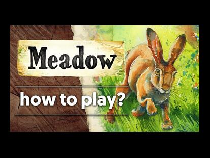 Meadow How to Play