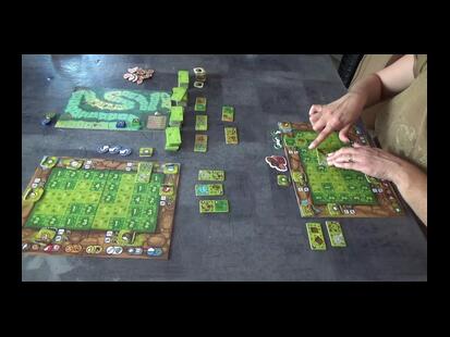 Sapiens Youtube Explication