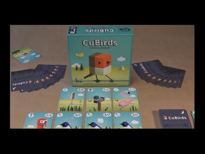 CuBirds Youtube Règle