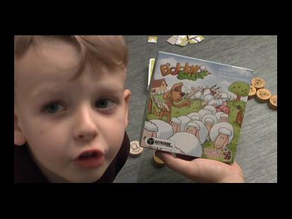 Bobby Sitter Youtube