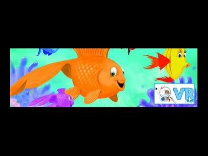 Calypso Vidéo Règle