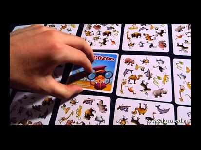 Panicozoo Youtube Review