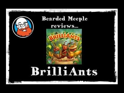 BrilliAnts Review