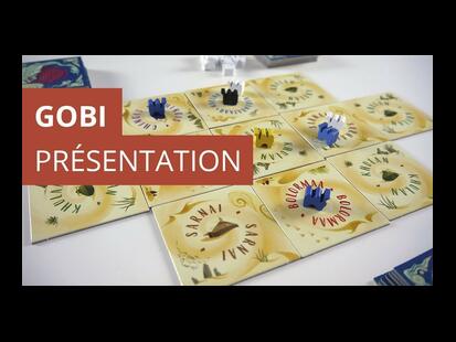 Gobi Youtube Présentation