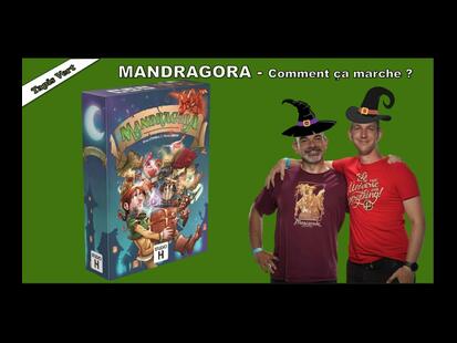 Mandragora Présentation