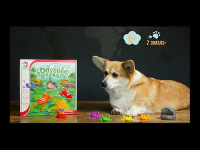 L'Odyssée des Grenouilles Présentation