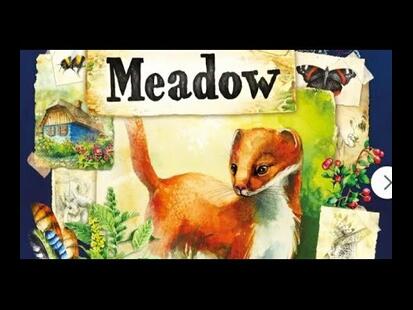 Meadow Explication et Partie