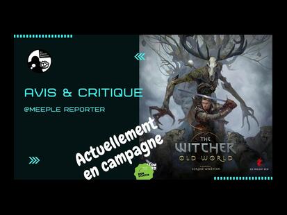 The Witcher: Old World Critique