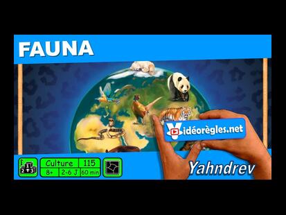 Fauna Vidéo Règle