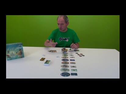 Celestia Youtube Règle