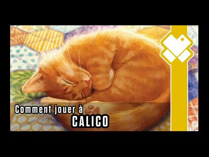 Calico Comment on Joue