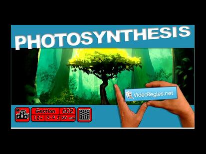Photosynthesis Vidéo Règle