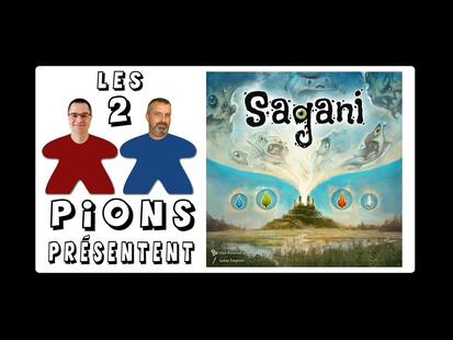 Sagani Présentation, Règle et Avis