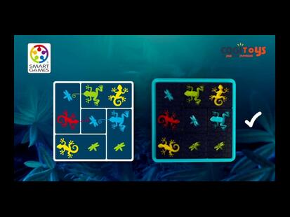 Gecko Gourmand Présentation