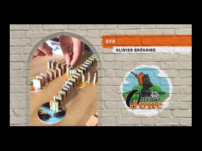 AYA Ludovox Orléans Joue