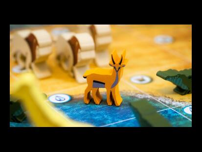 Wild: Serengeti Overview