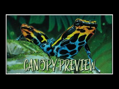 Canopy Preview